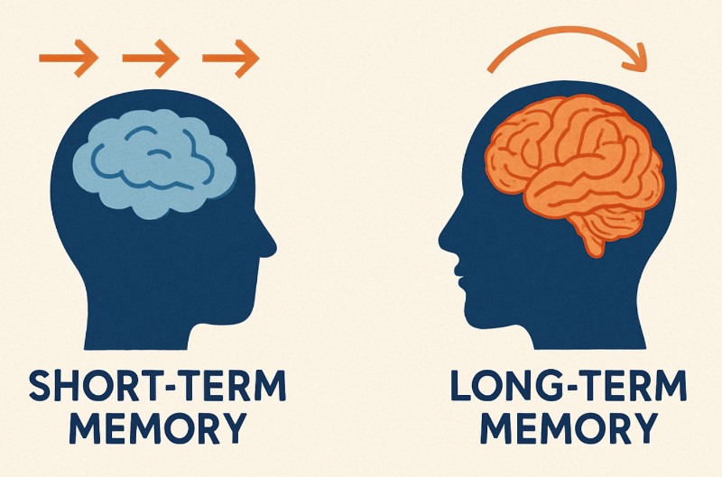 Short-term and Long-term Memory Architecture